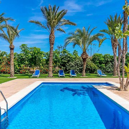 Finca Santa Barbara エルチェ エクステリア 写真