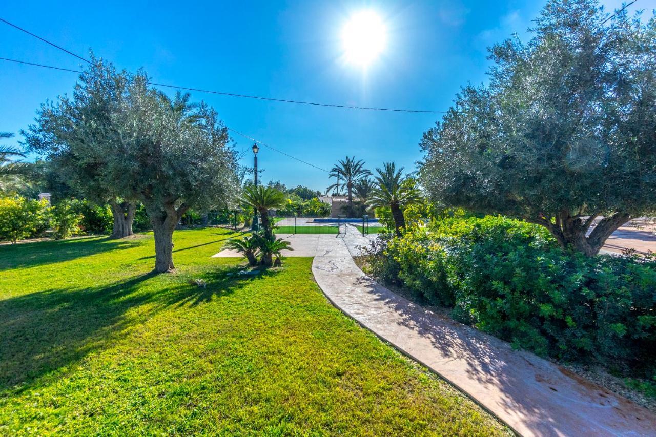 Finca Santa Barbara エルチェ エクステリア 写真