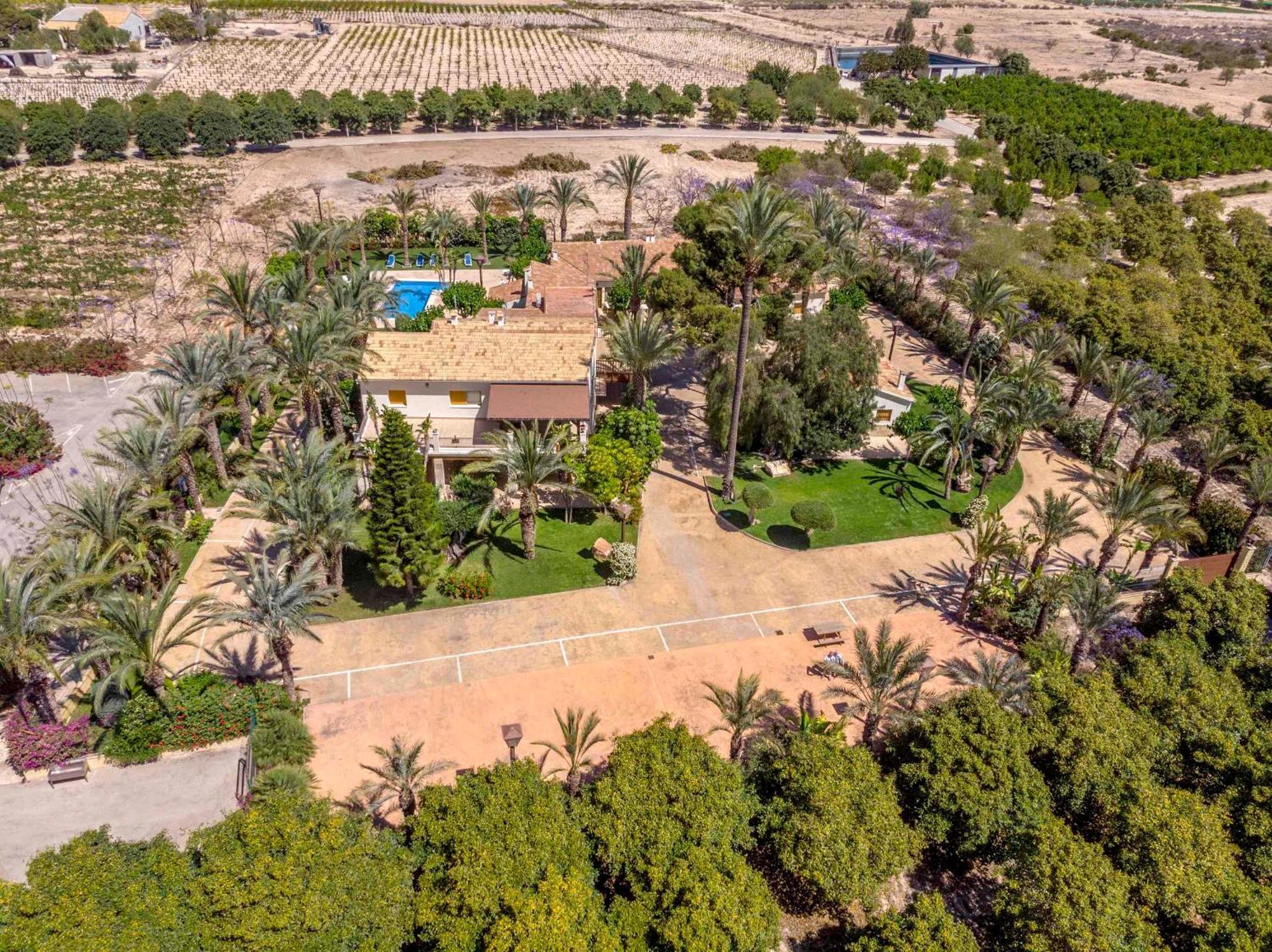 Finca Santa Barbara エルチェ エクステリア 写真